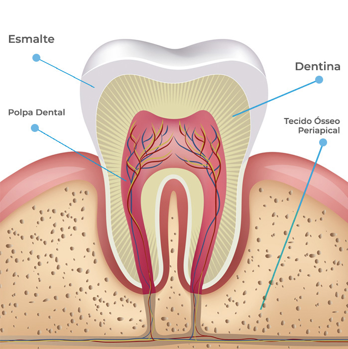 endodontiaok